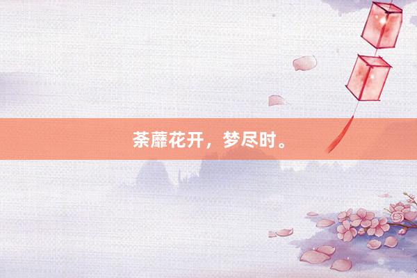荼蘼花开，梦尽时。